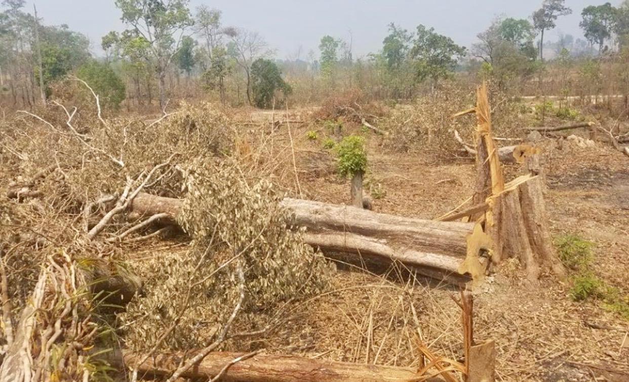 Cần xử lý nghiêm những vụ phá rừng phòng hộ ở Gia Lai